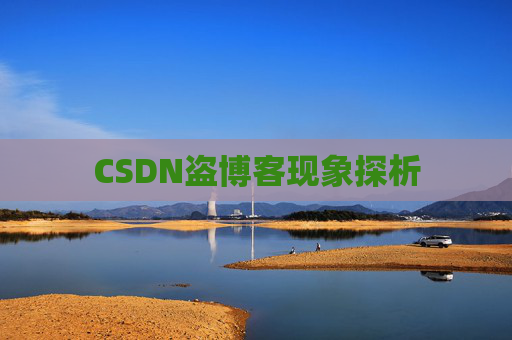 CSDN盗博客现象探析